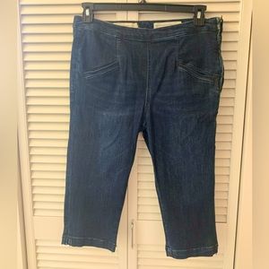 Anthropologie Pilcro Letterpress High Rise Knee Length Shorts - 32